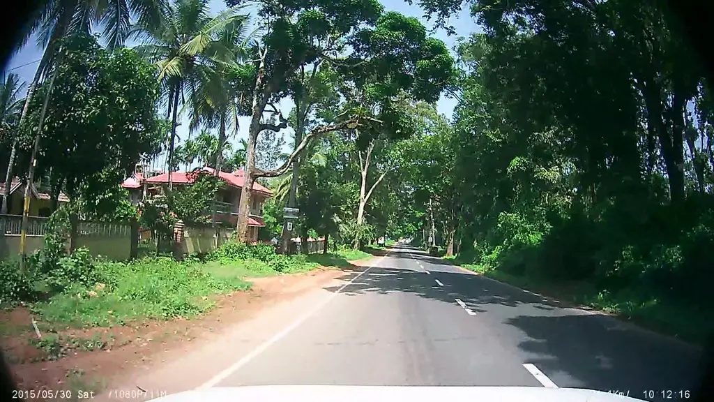 HornbillRoost