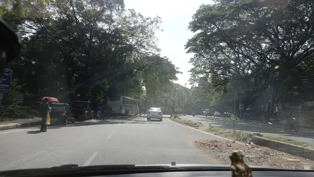 Vijayadriexotica