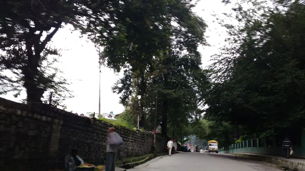 Hotel Rudra Palace manali