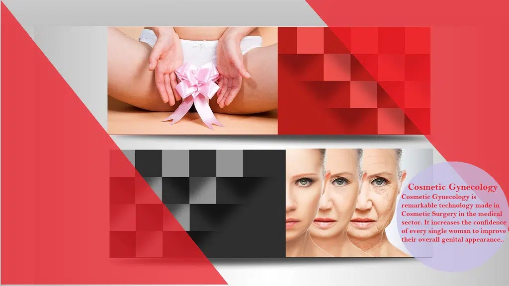 Elixir Health Care : Dr Saurabh K Gupta Best Plastic & Aesthetic Surgeon & Dr. Parul Singhal, Best Gynaecologist in Noida