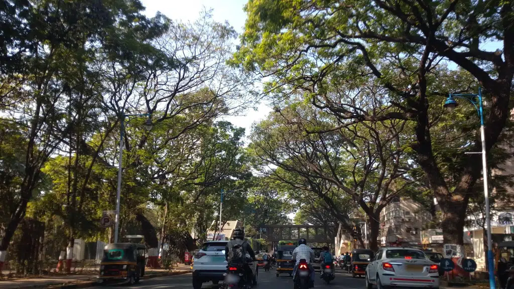 Jayshree Pavbhaji
