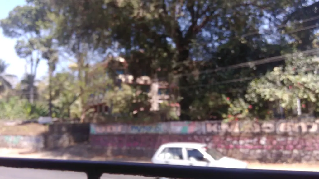 St. Thomas College, Palai