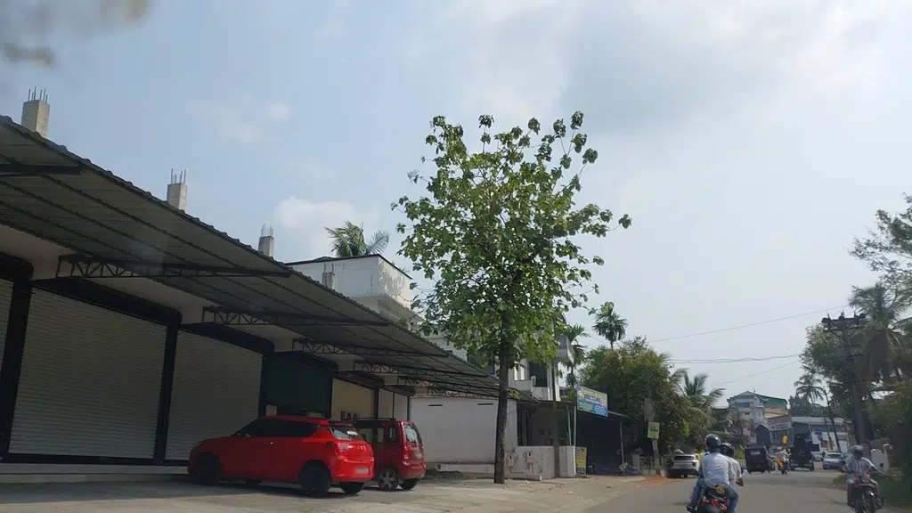 Thannikkottu Soukya Ayurvedic Hospital