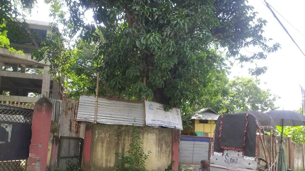 Maa Bhuk Lagise