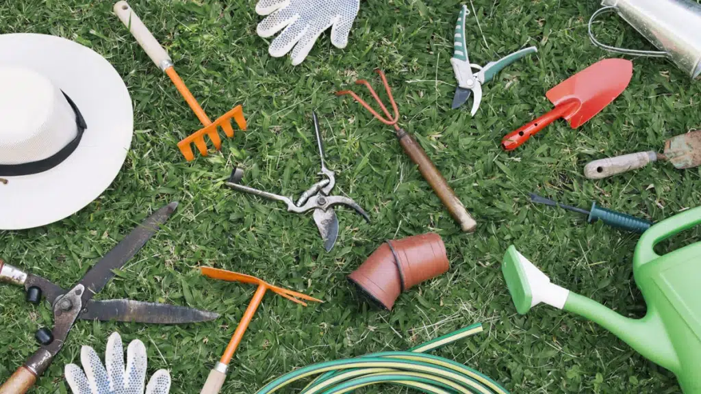 Plant Care & Pest Control Organization