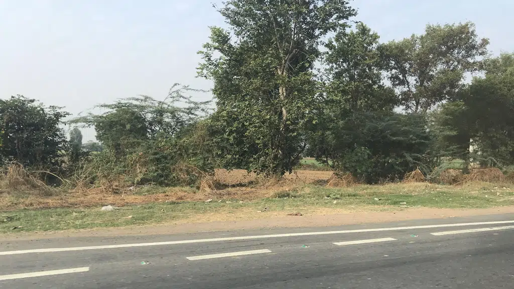 Rajputana Resort