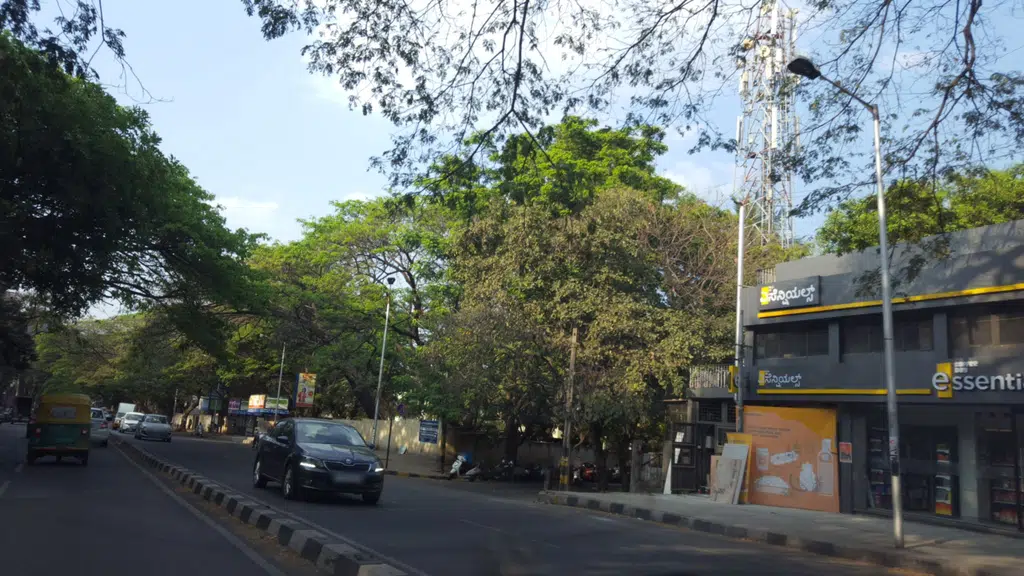 Bangalore Dairy Shop