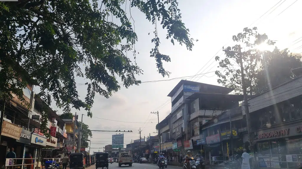 Mohasree Drugs