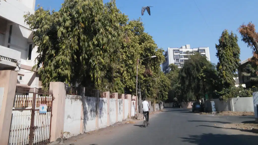 Gujarat Red Cross
