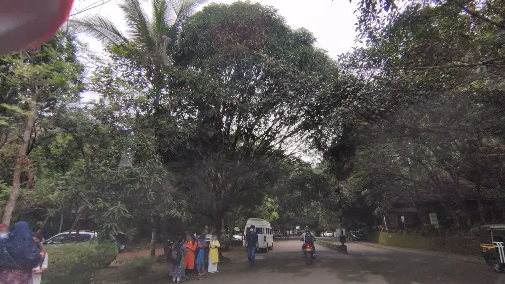 Mahatma Gandhi University Kottayam