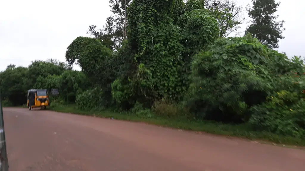Manyam tourism