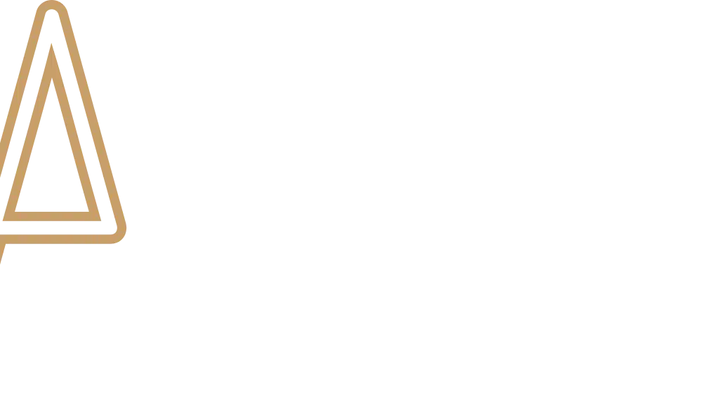 The Audio Video People