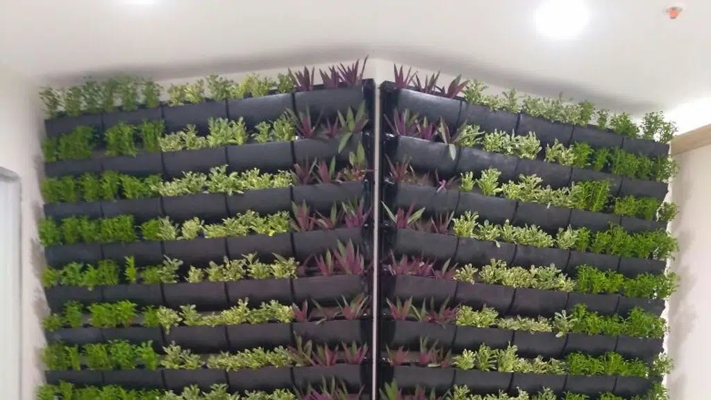Green Revolution Enterprises