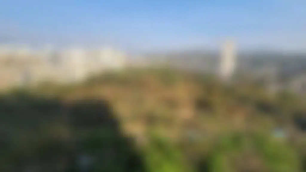 Surve Estate Agency