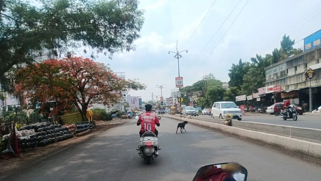 Muralidhar Biryani House