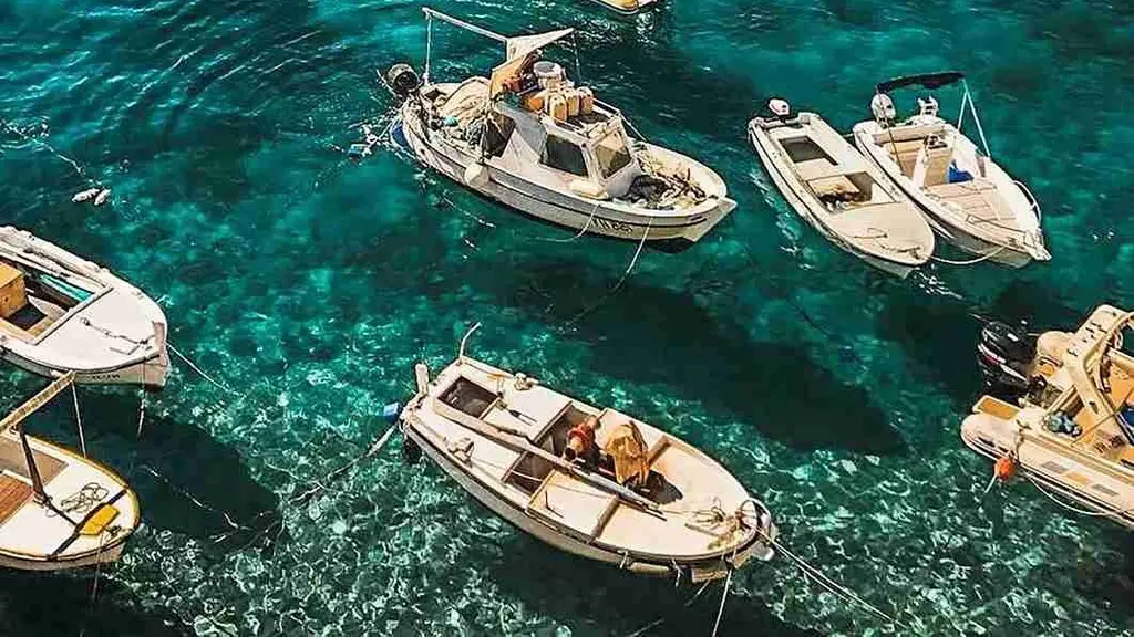 Cosima Travel and Trade Links