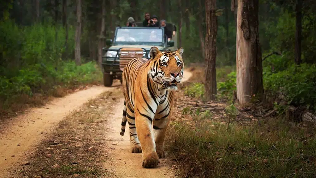 Katarniaghat Wildlife Sanctuary
