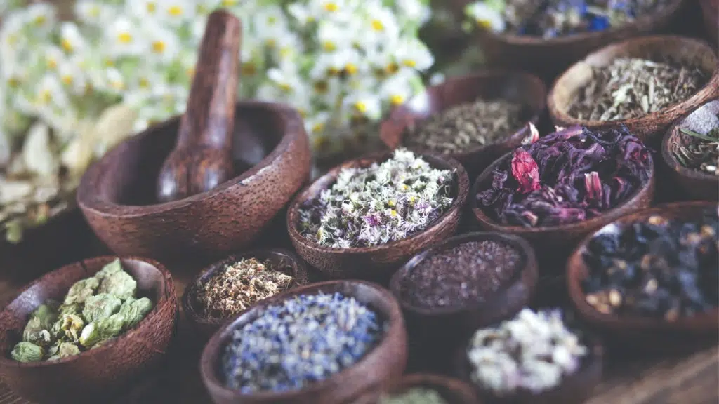 Annai Aravindh Herbals
