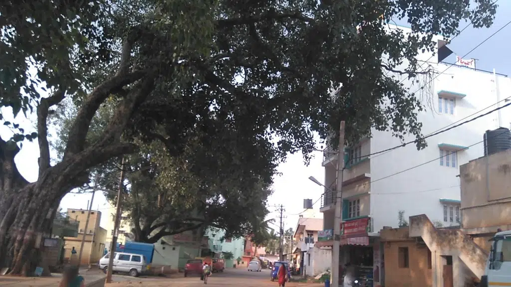 HariHara Medicals