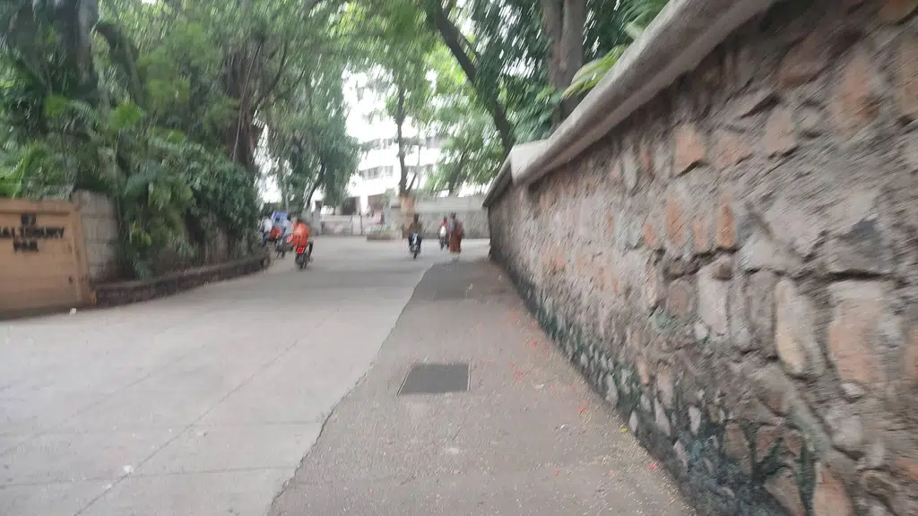 Travel Expert India