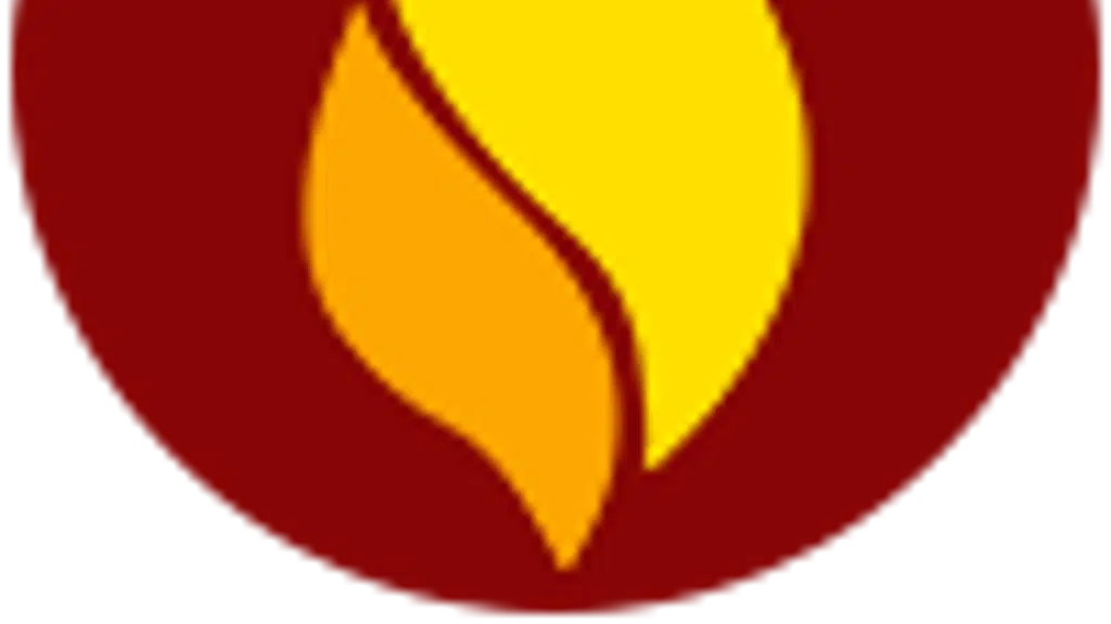 Raiseup Academy