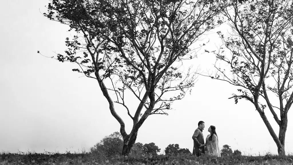 Abhishek Roy Photography