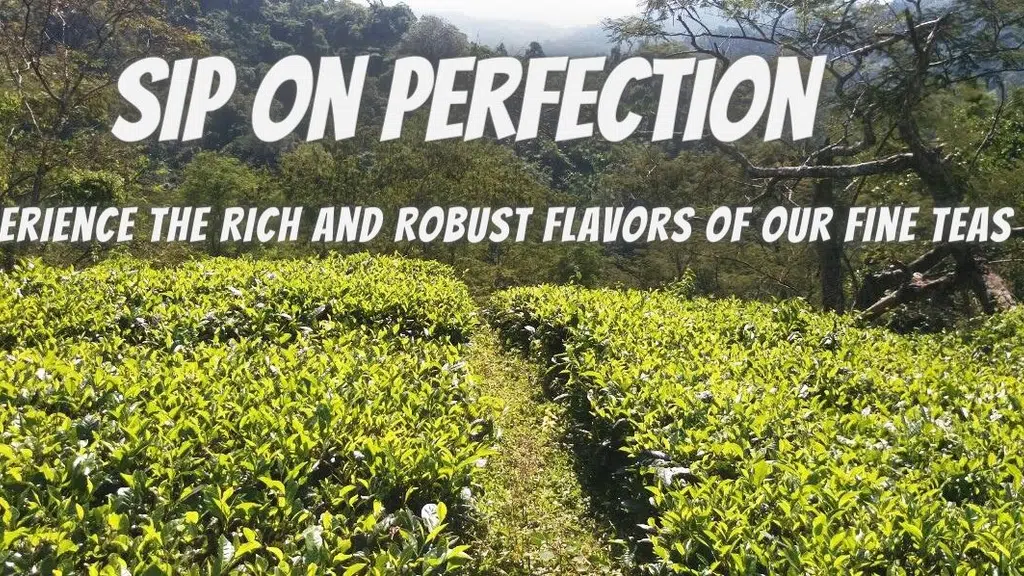 Assam Heritage Speciality Teas
