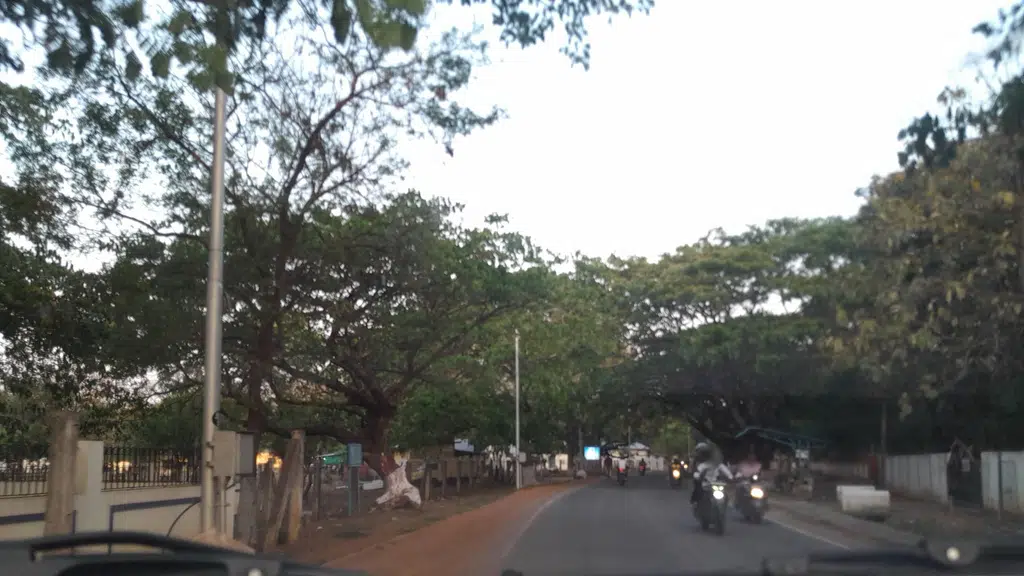 Ankur Vidya Mandir