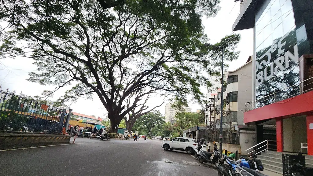 Masanagudi resorts