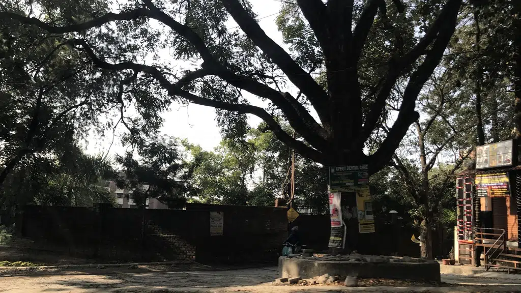 Shree Prakasheshwar Mahadev