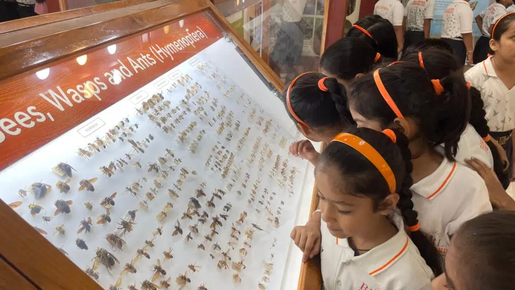 Birla Open Minds International School, Dehradun