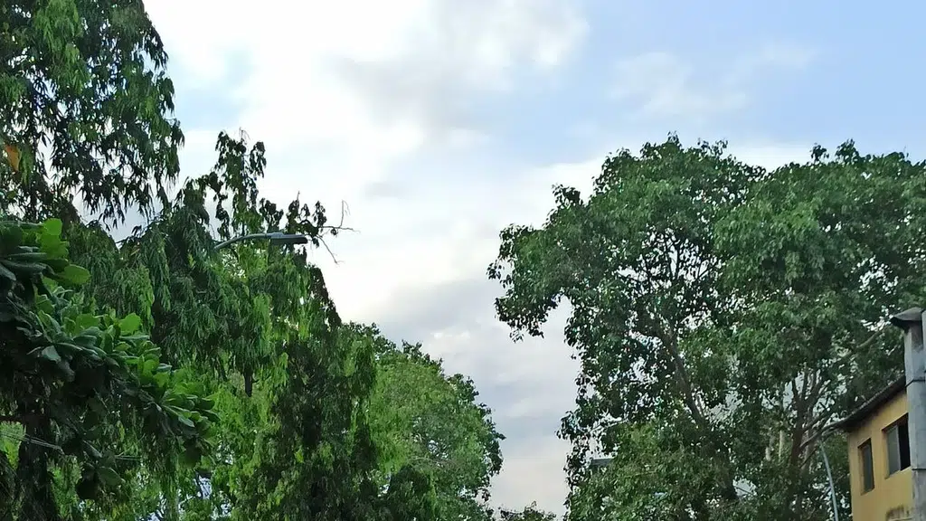 Vijaya Health Centre Out Gate