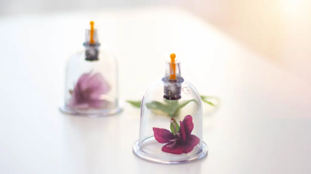 Holistic Health