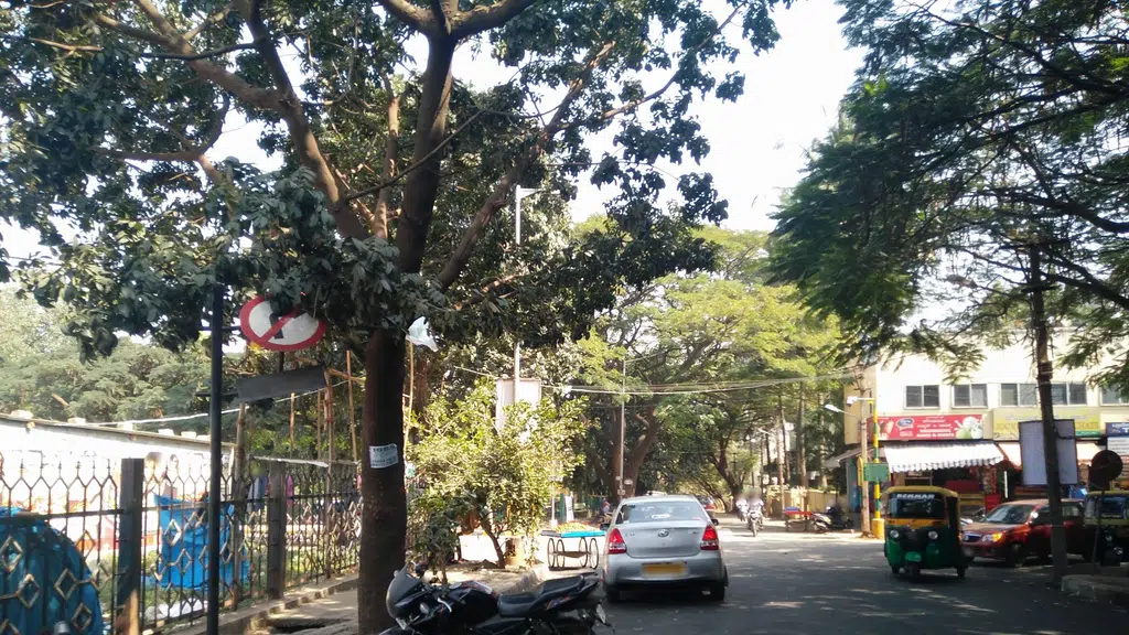 Nandini Shoppe
