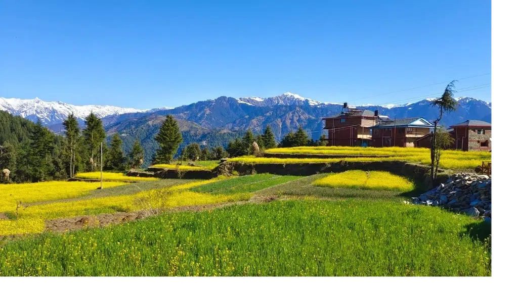 BAROT Highland Retreat & AstroCamp