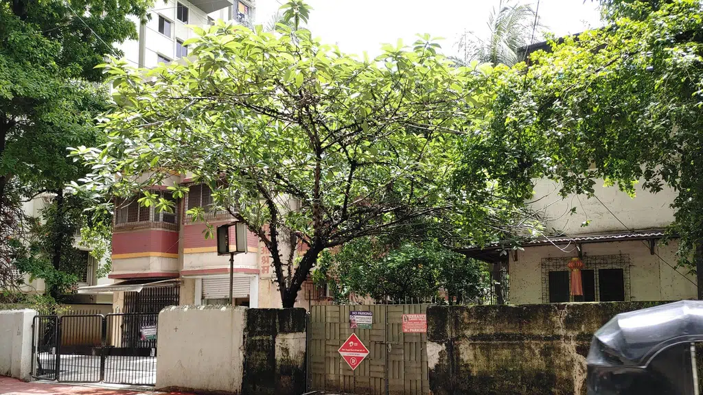 Sandu Garden, Chembur