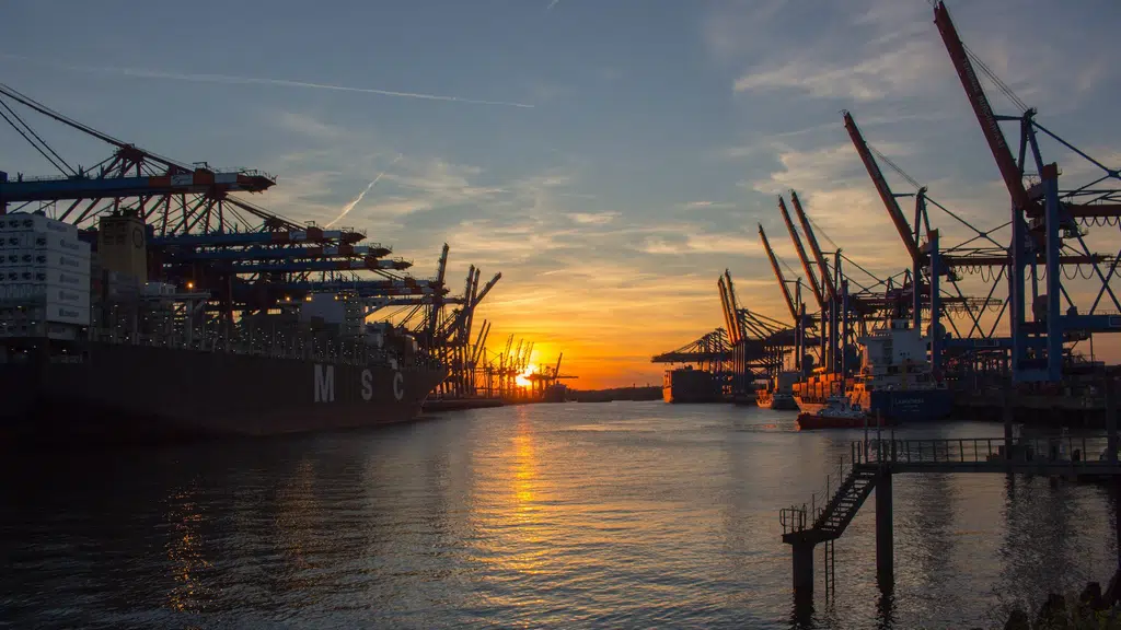 International Cargo Movers