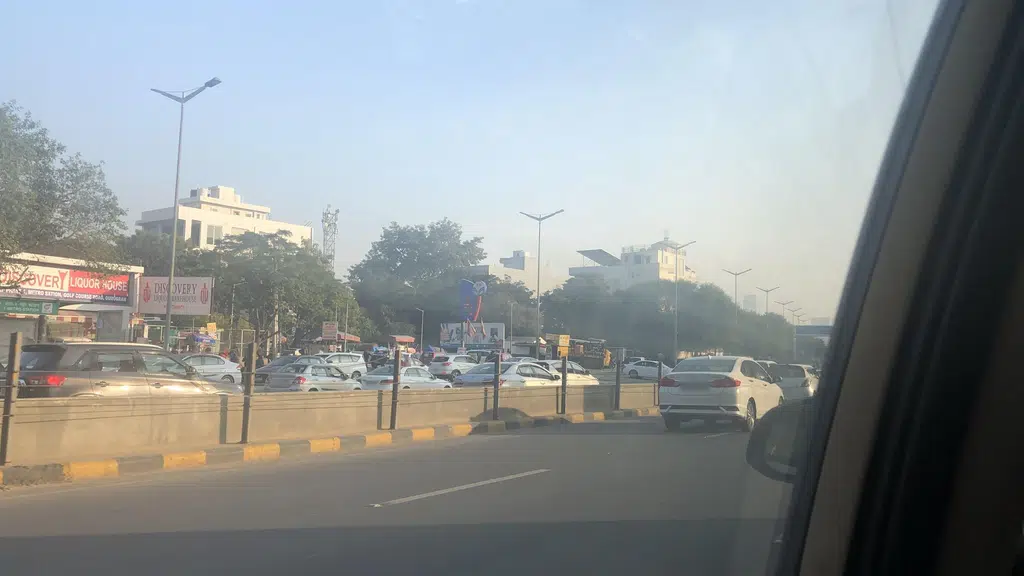 Vetic Pet Clinic Golf Course Rd Gurgaon