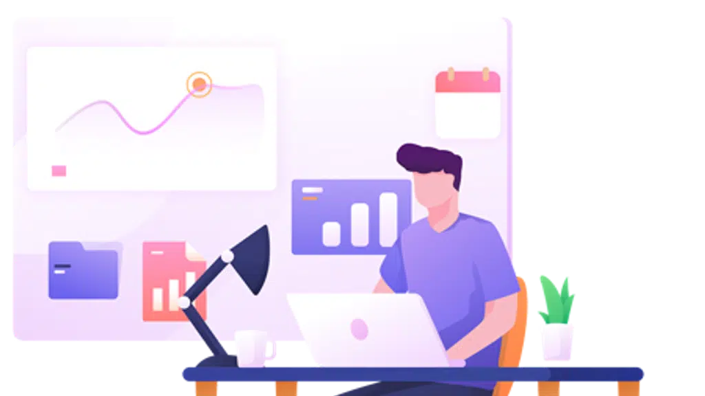 Pixerea IT Consultant