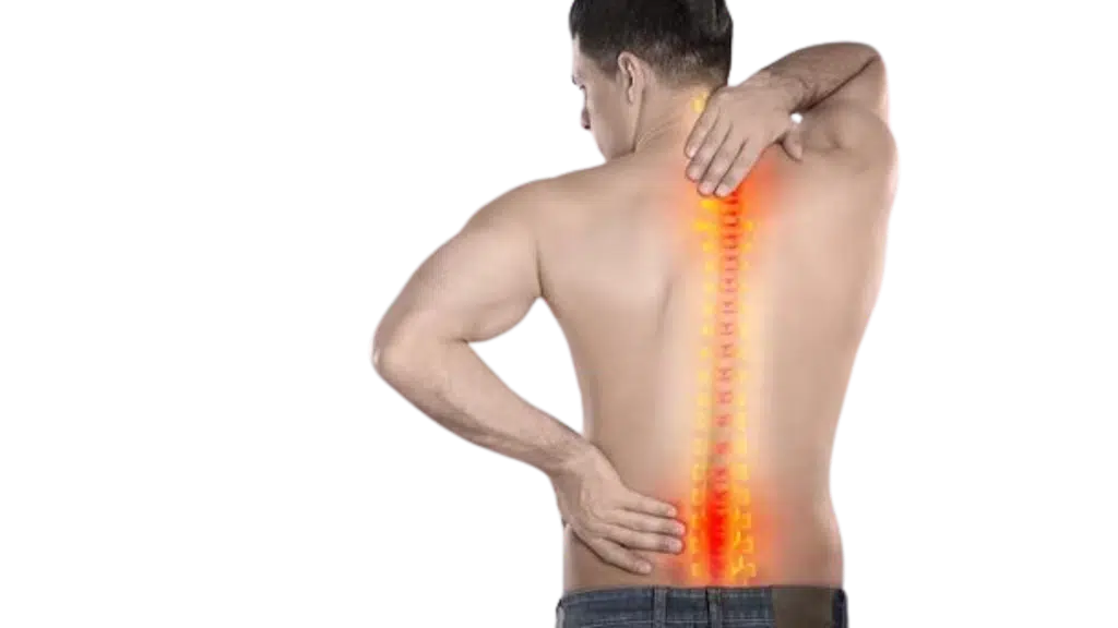 medspine.in Spine Clinics in Chennai