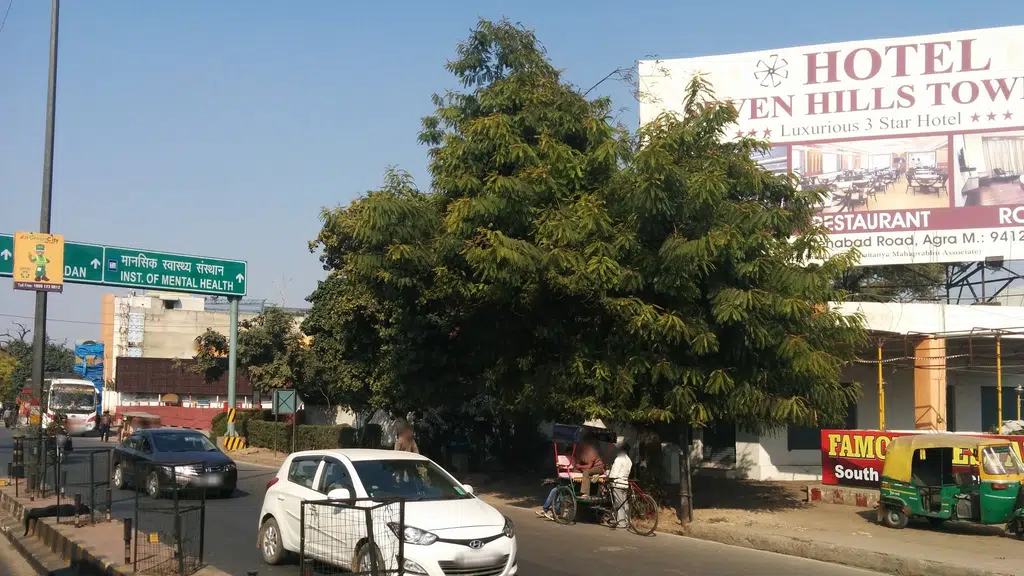 Bank of Baroda,IBB