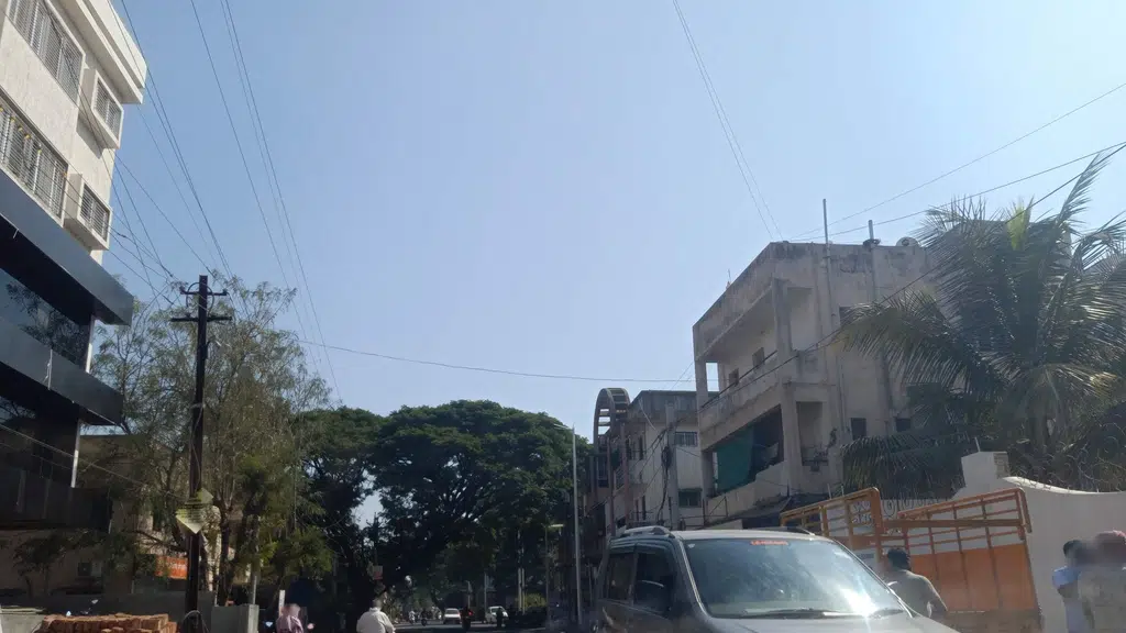 Angels & Demons Pet Store Ahmednagar