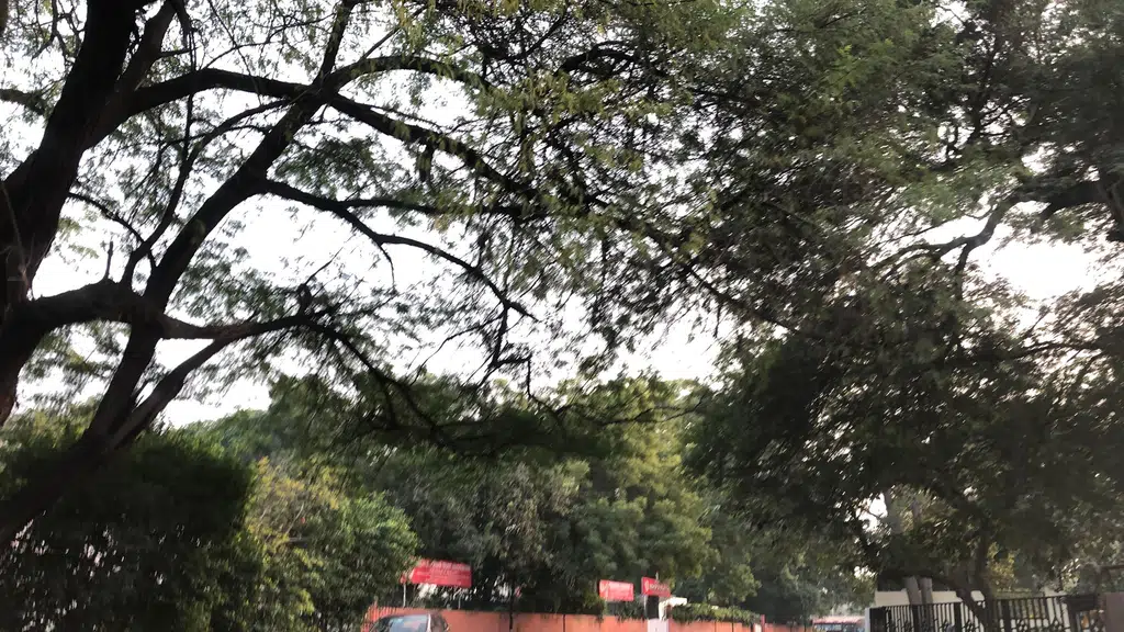 Hanuman Mandir