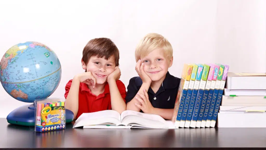 Brain Path Counseling DMIT Test Center