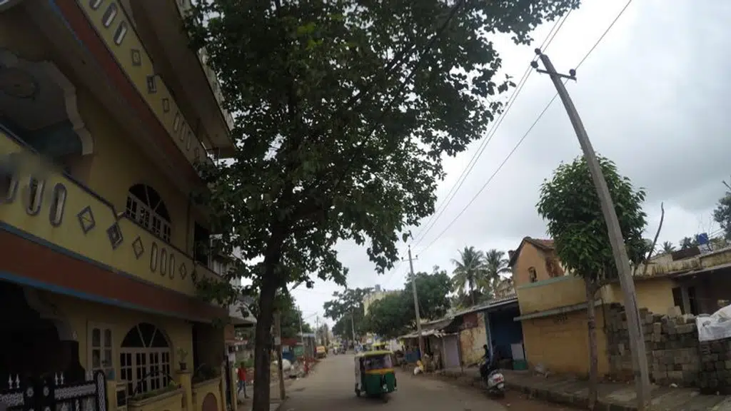 Jamia Masjid