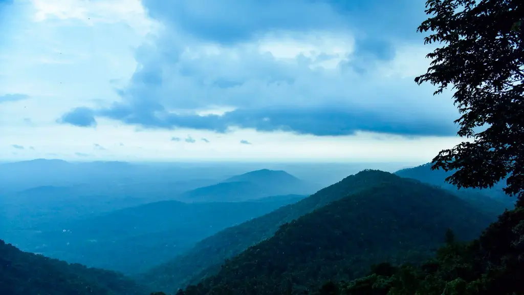 Vayalada Valley View Resort