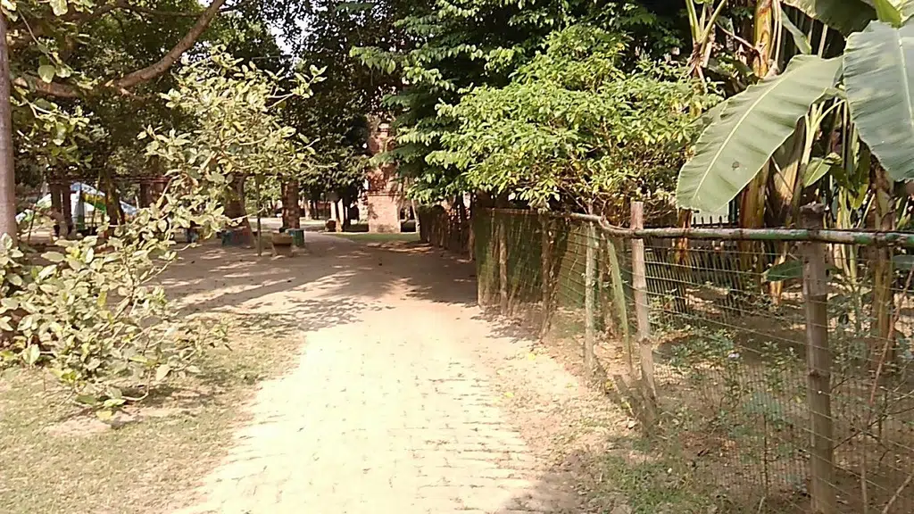 Mayapur Surabhi Cows