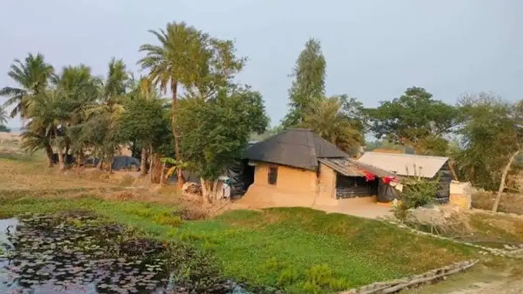 Dakhin Rai Nature Camp Sundarbans