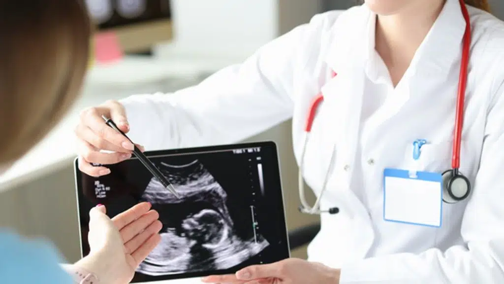 Dr. Mamta Phogat - Fetal Medicine Specialist