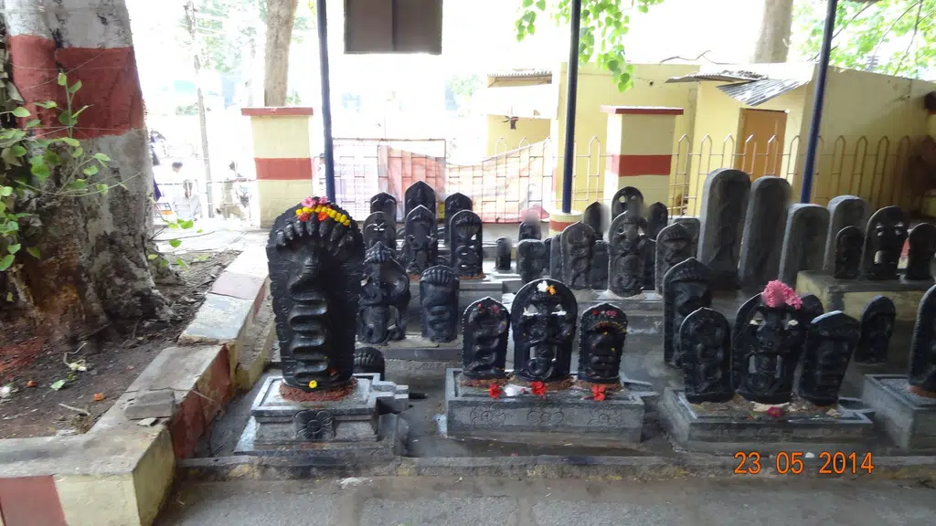 B.M.S College of Engineering